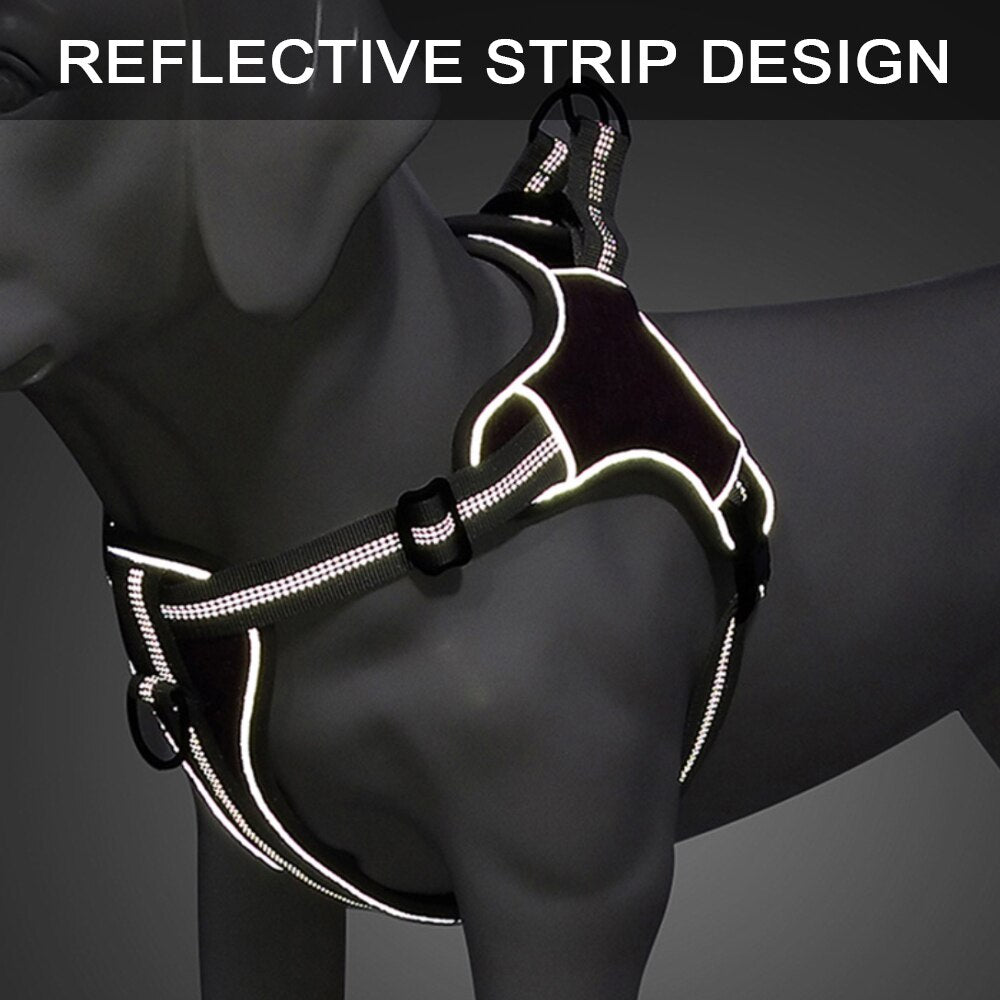 Reflective nylon dog harness - for small and large dogs