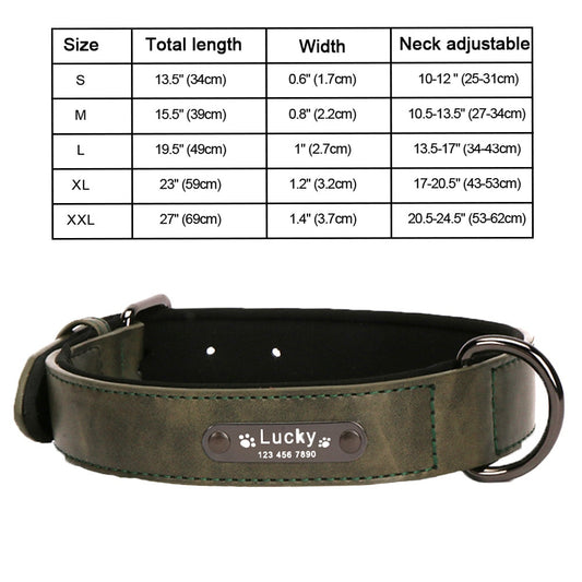 Customizable dog collar - 8 colors available