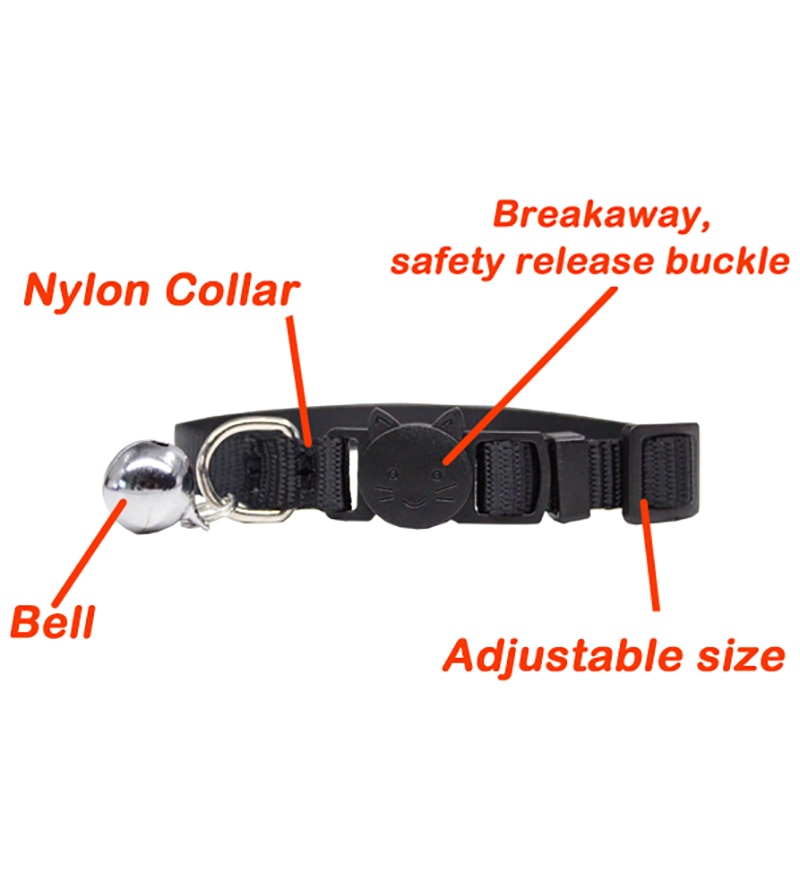 Kitten and cat collar with engraving