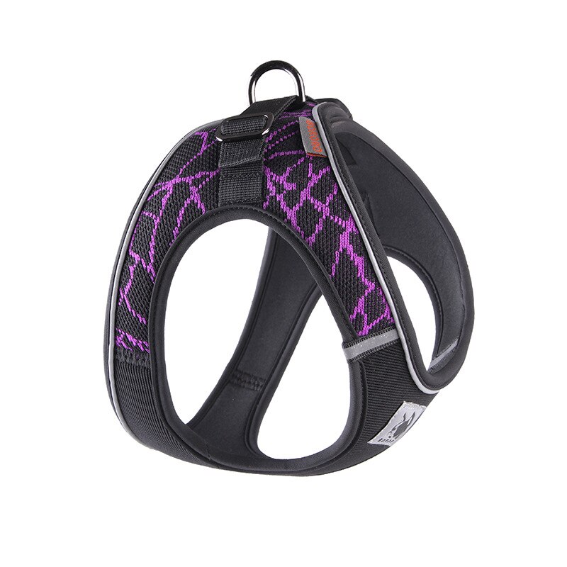 Design and reflective chest harness