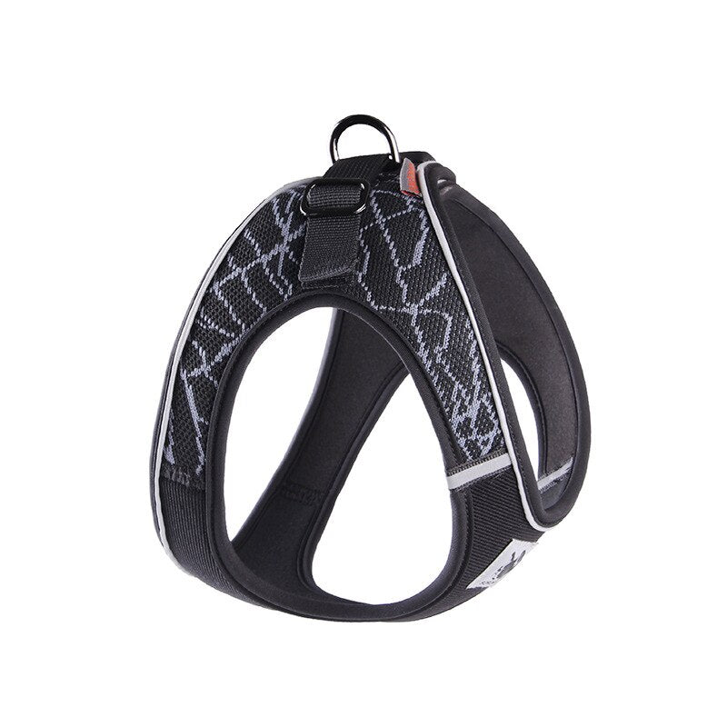 Design and reflective chest harness