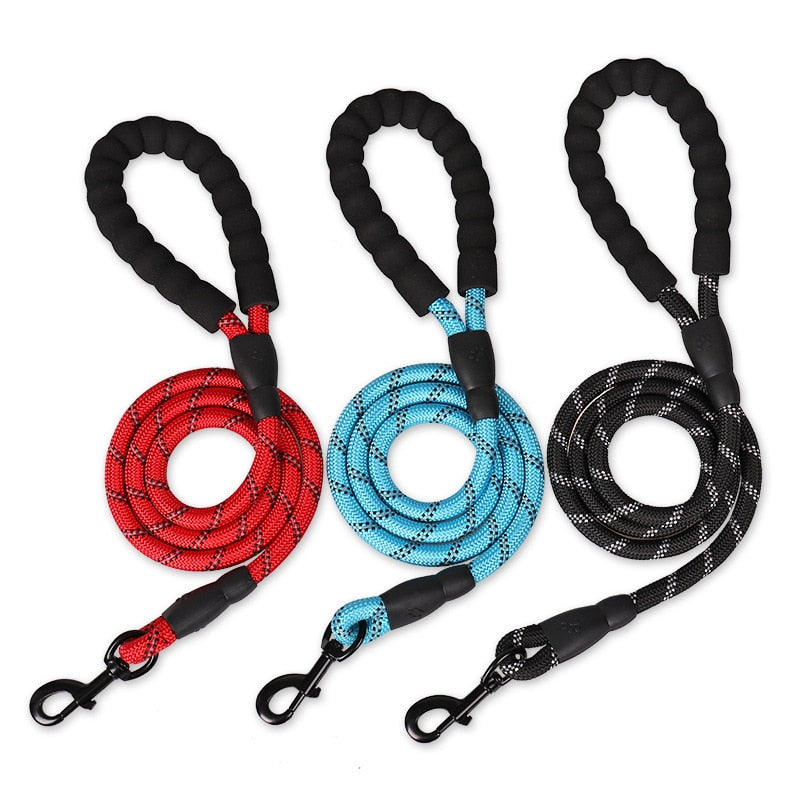 Leash for dog and cat adjustable - 150 / 200 / 300 cm - carabiner