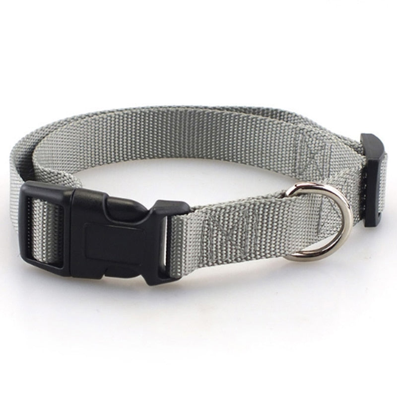 Dog collar - made of nylon, adjustable and robust