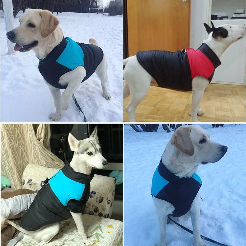 Veste Imperméable pour Chien - Chaud pour l'Hiver