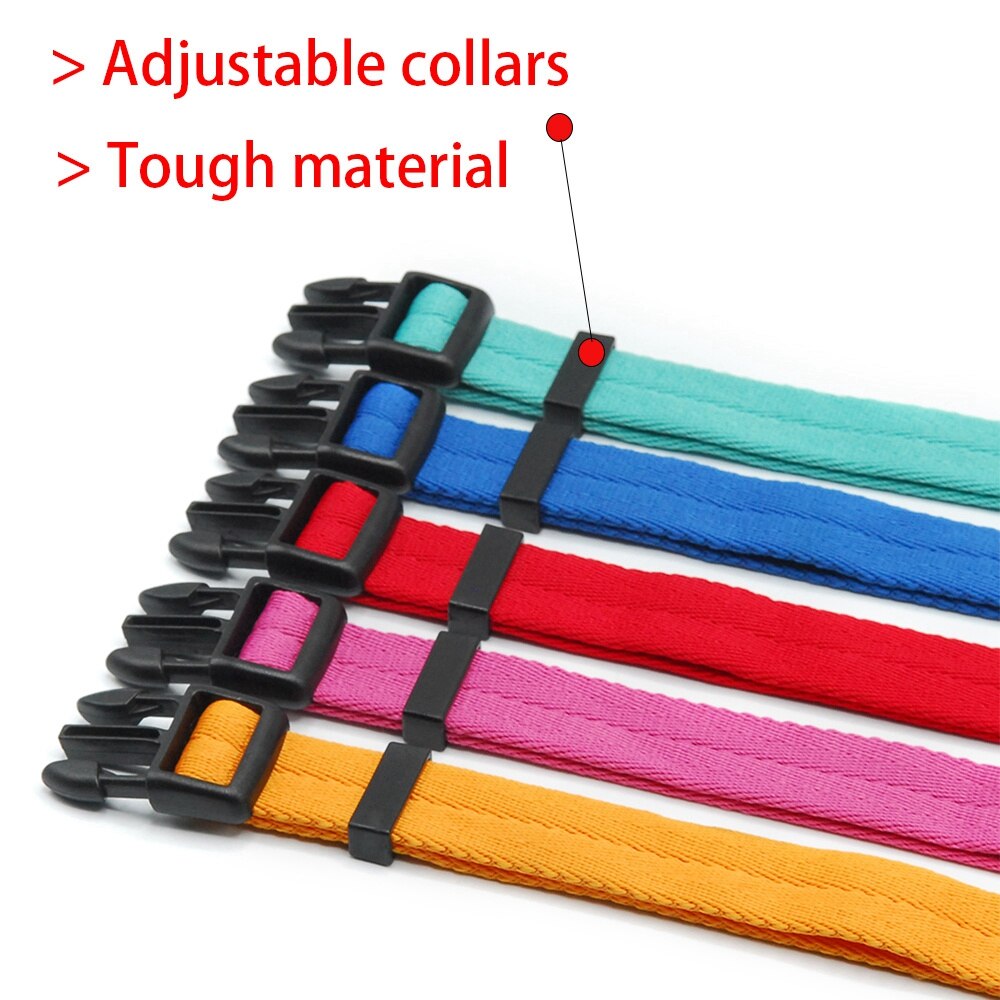 Collar for dog and cat - Comfortable and suitable for small sizes