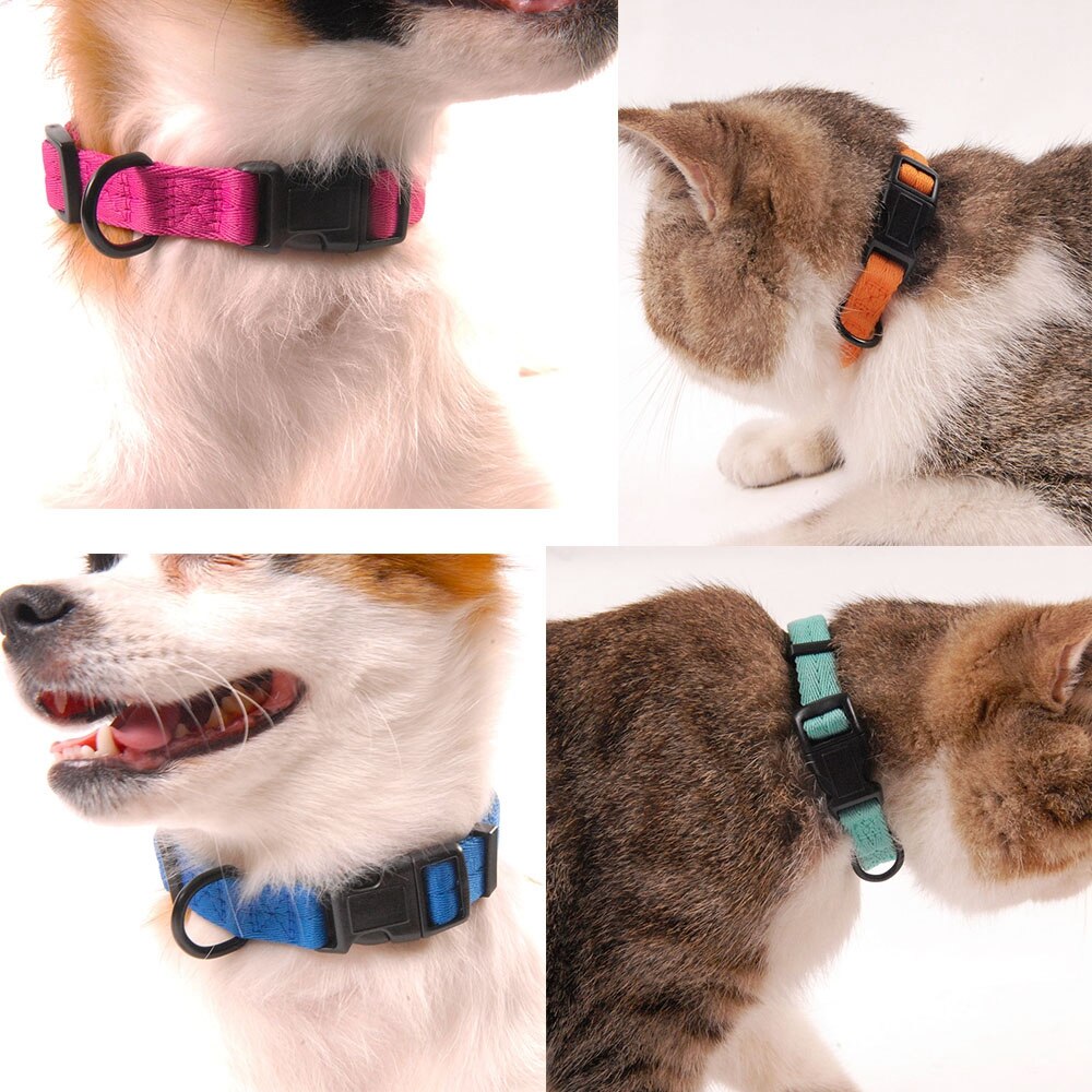 Collar for dog and cat - Comfortable and suitable for small sizes