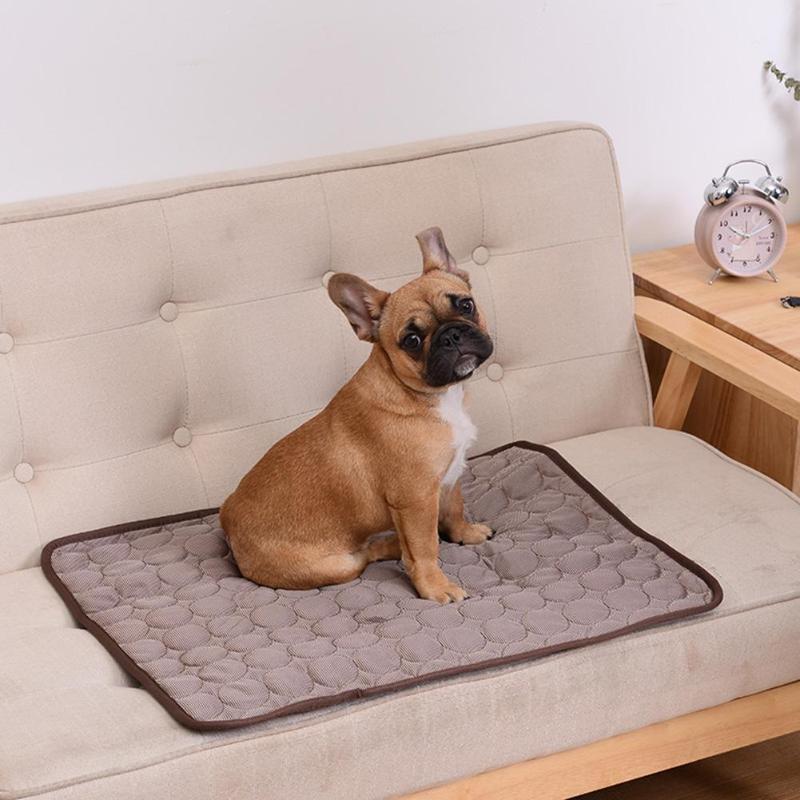 Cooling mattress for summer dogs