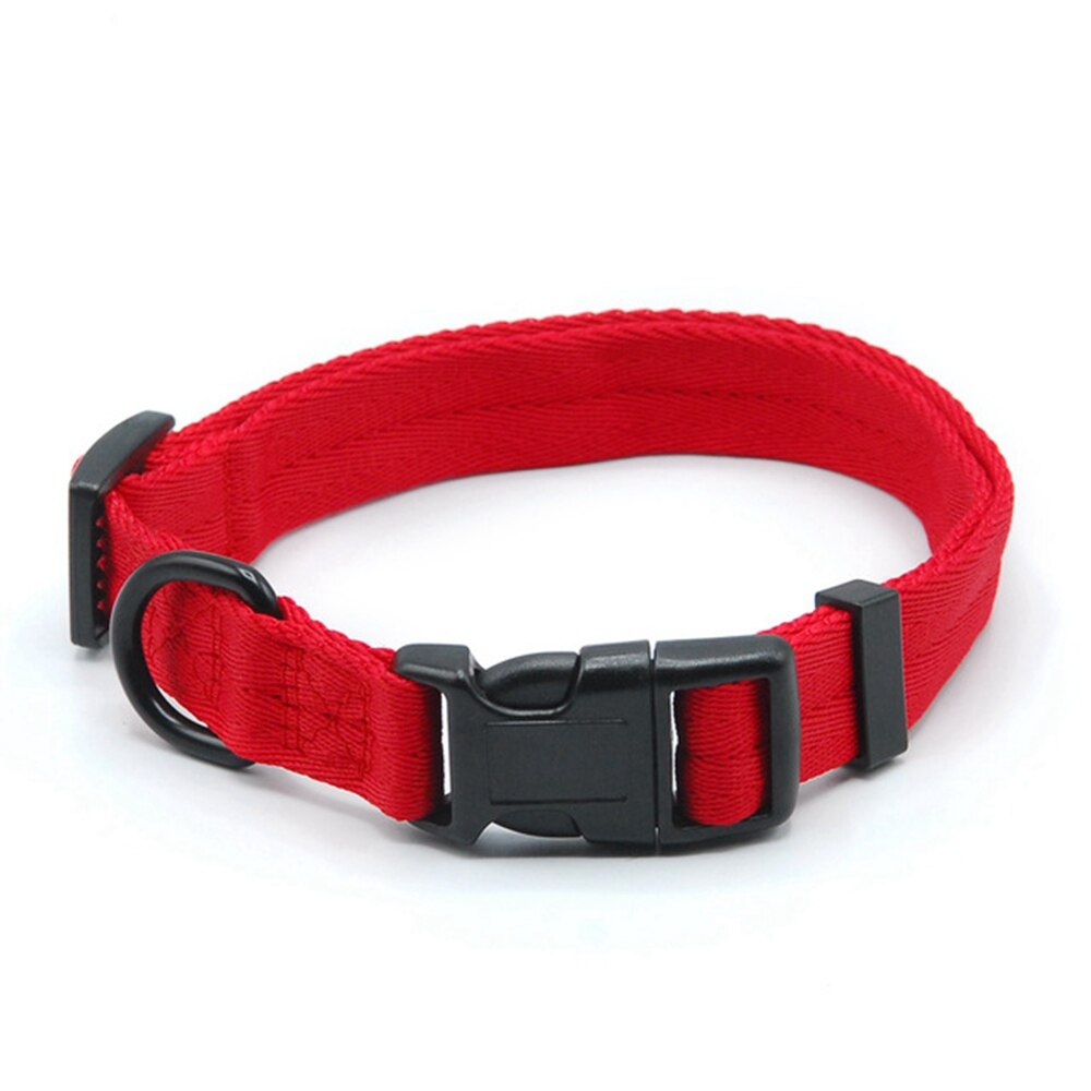 Collar for dog and cat - Comfortable and suitable for small sizes