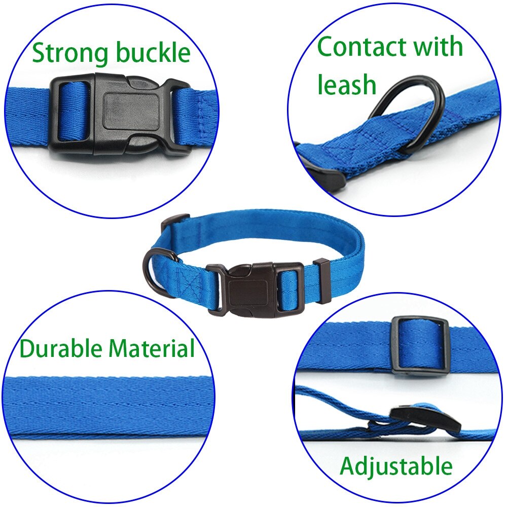Collar for dog and cat - Comfortable and suitable for small sizes