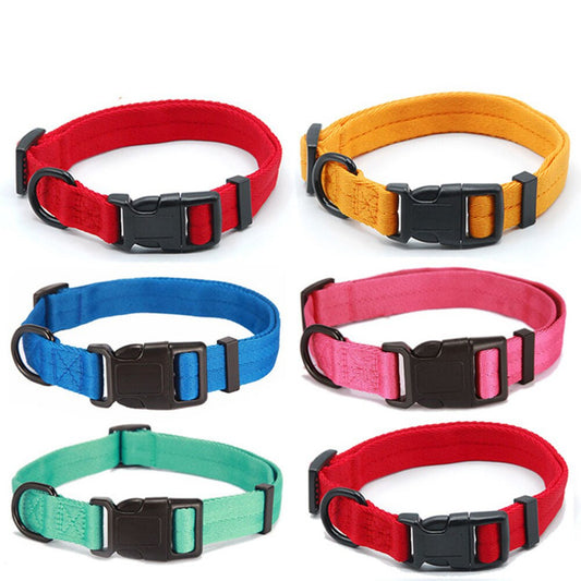 Collar for dog and cat - Comfortable and suitable for small sizes