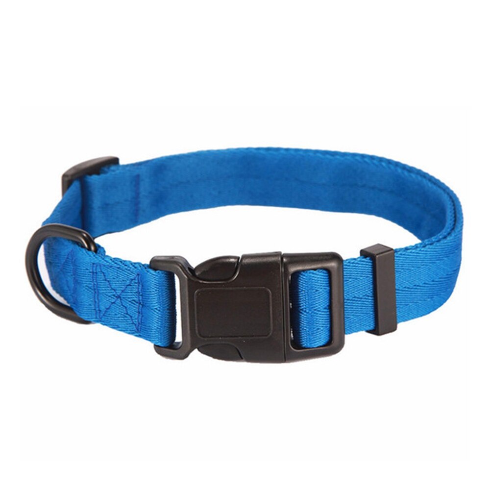 Collar for dog and cat - Comfortable and suitable for small sizes