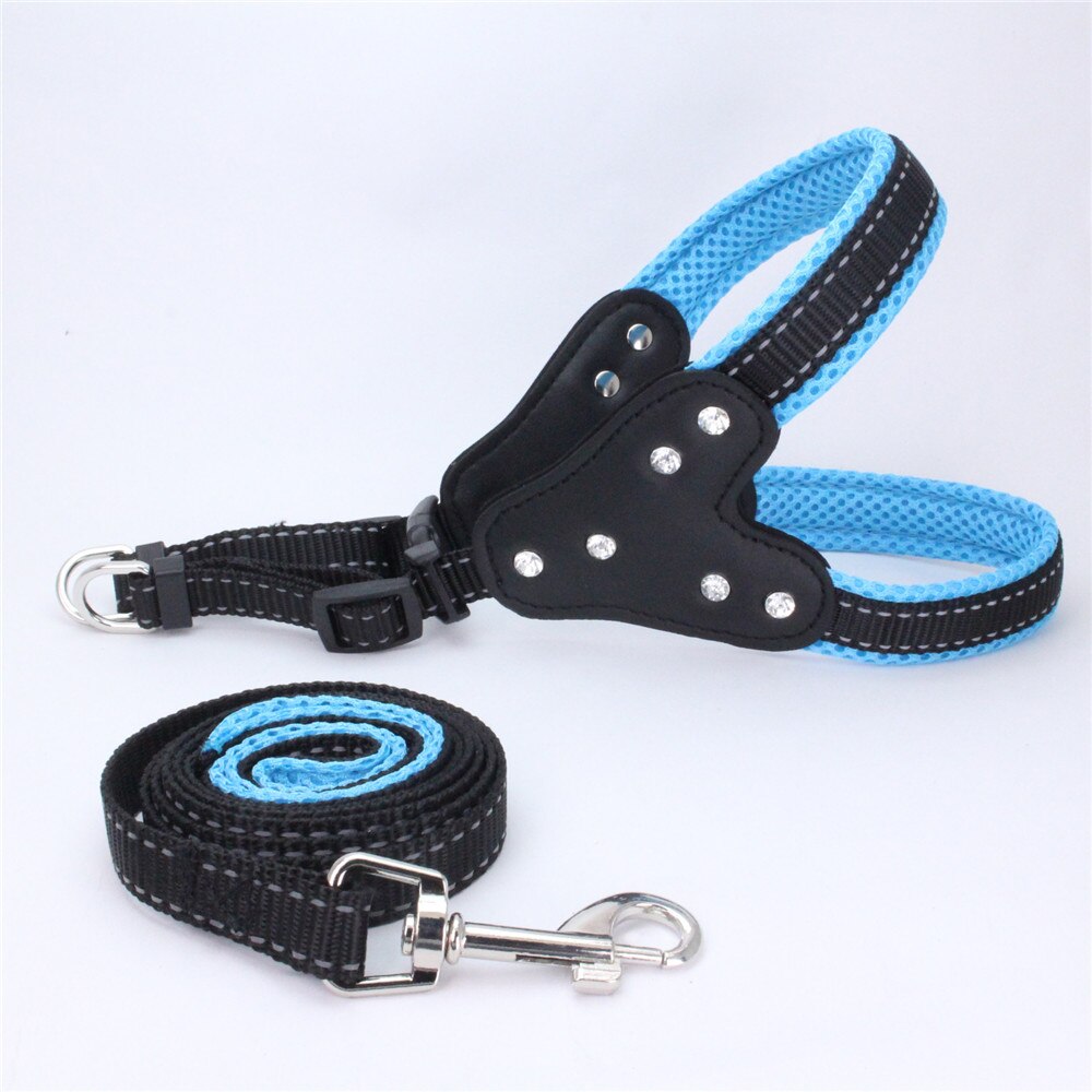 Harness and reflective collar in reinforced nylon for dogs - with rhinestones