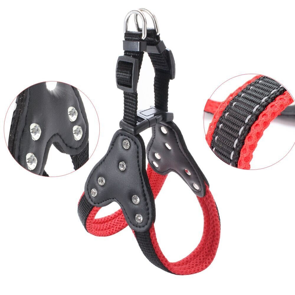 Harness and reflective collar in reinforced nylon for dogs - with rhinestones
