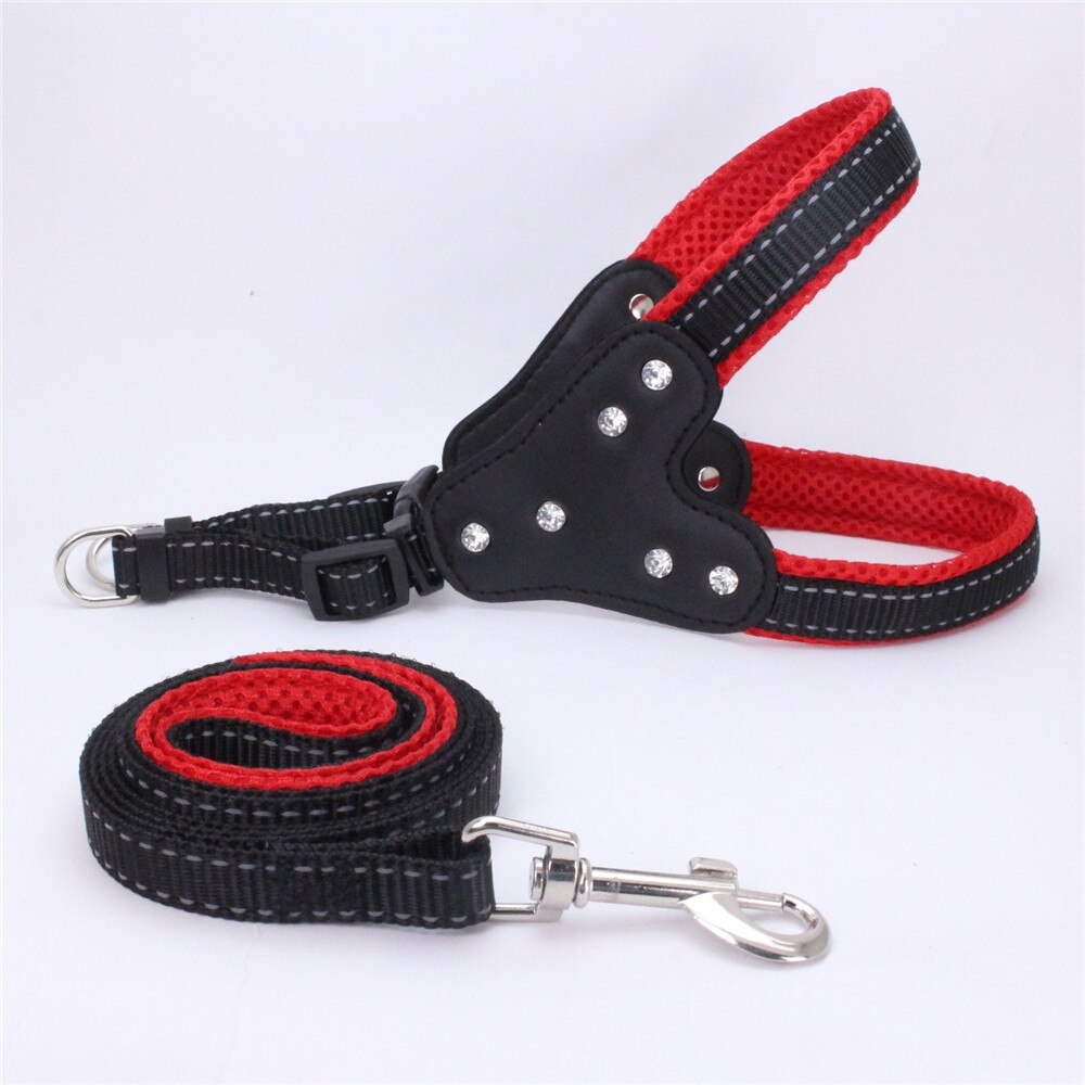 Harness and reflective collar in reinforced nylon for dogs - with rhinestones
