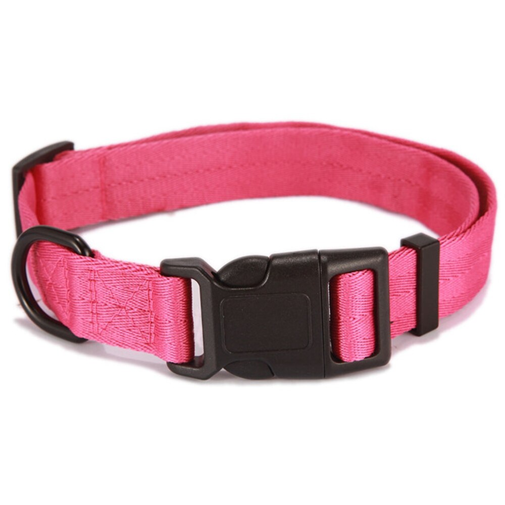 Collar for dog and cat - Comfortable and suitable for small sizes