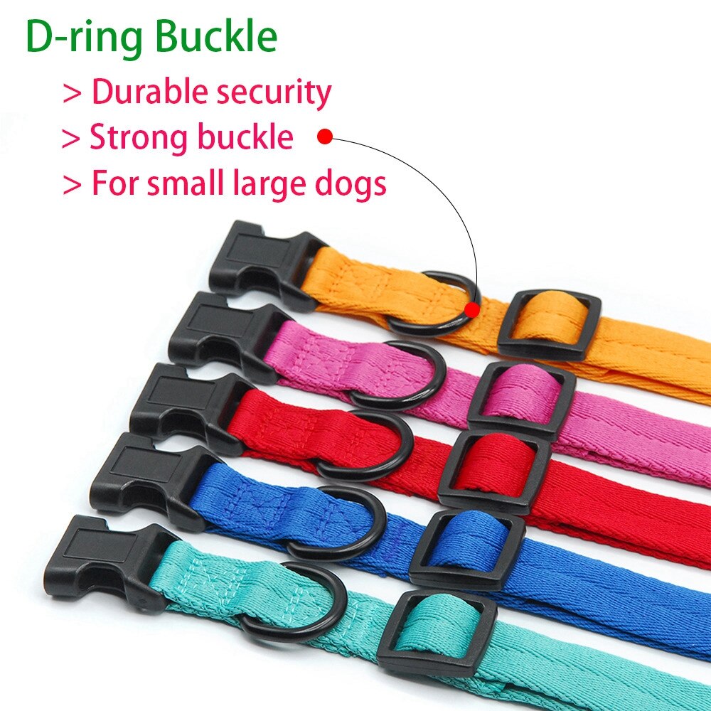 Collar for dog and cat - Comfortable and suitable for small sizes