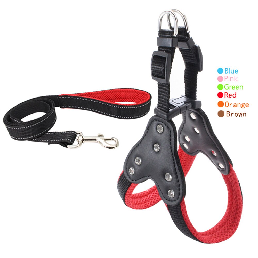 Harness and reflective collar in reinforced nylon for dogs - with rhinestones
