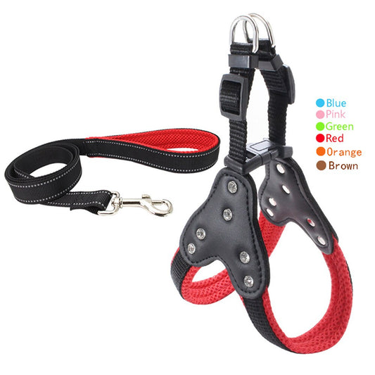 Harness and reflective collar in reinforced nylon for dogs - with rhinestones
