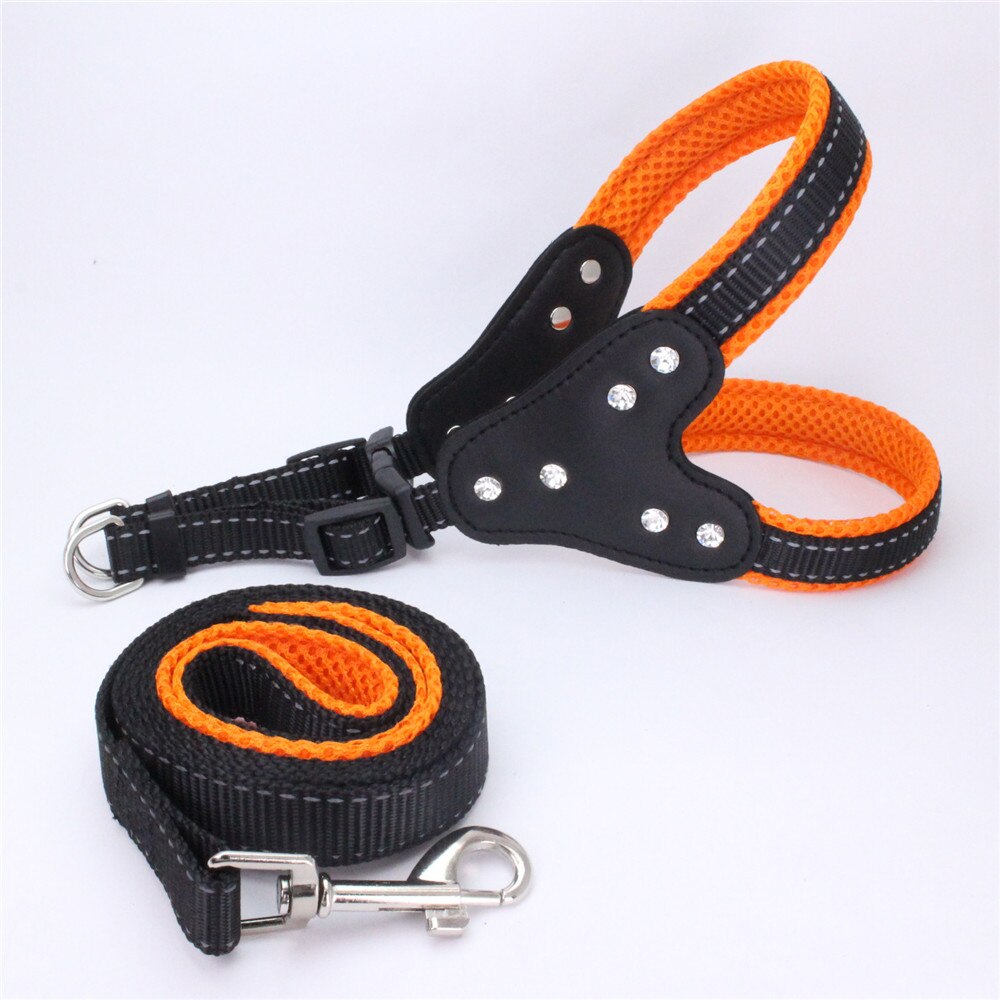 Harness and reflective collar in reinforced nylon for dogs - with rhinestones