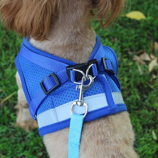 Pack Harness + padded foam leash