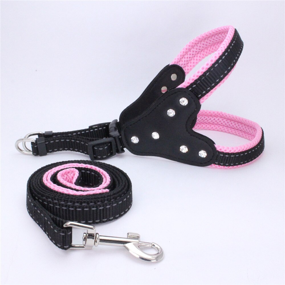 Harness and reflective collar in reinforced nylon for dogs - with rhinestones