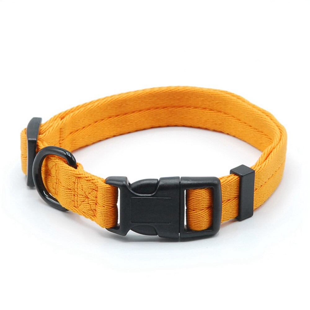 Collar for dog and cat - Comfortable and suitable for small sizes