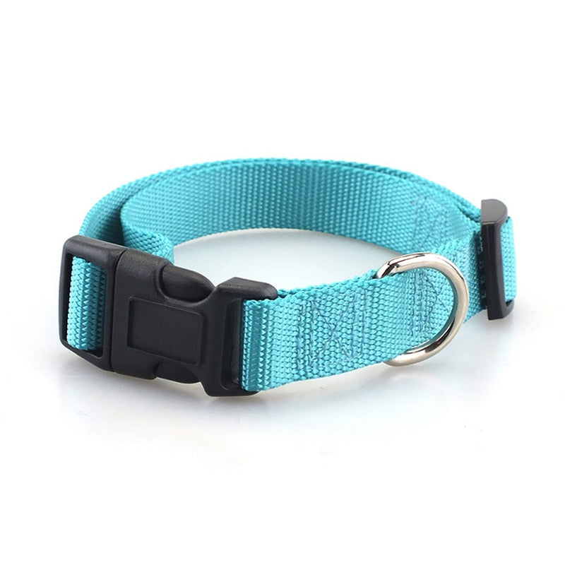 Dog collar - made of nylon, adjustable and robust