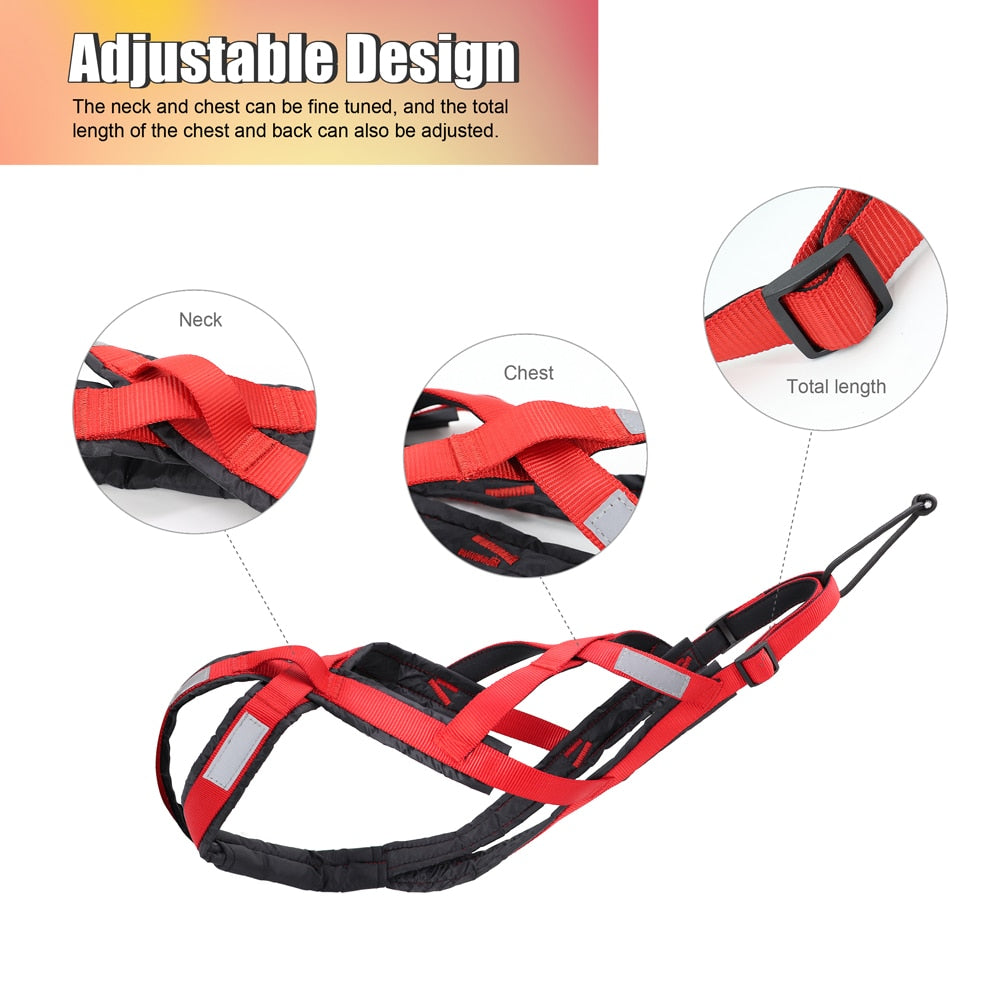 Dog sled harness - PET ARTIST