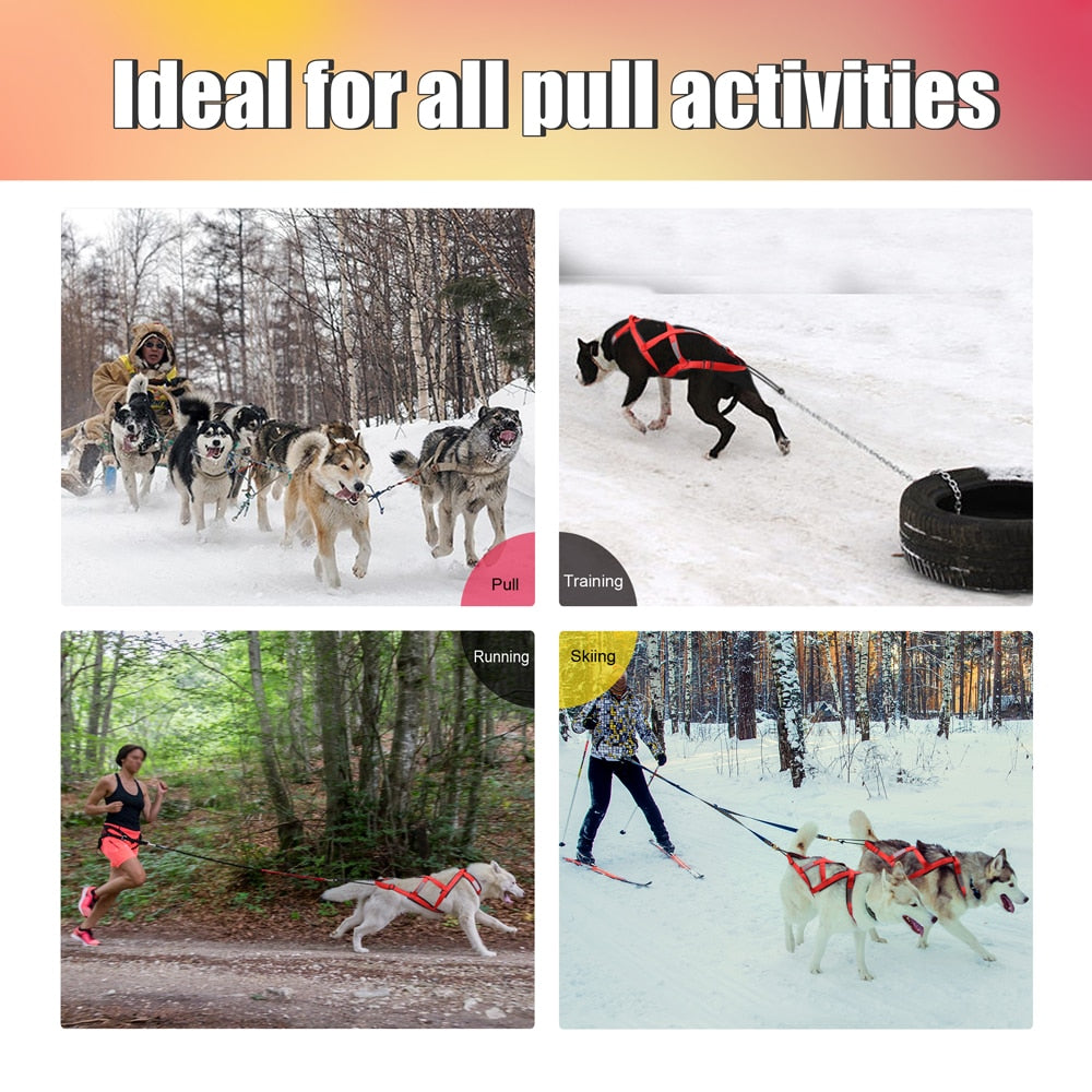 Dog sled harness - PET ARTIST