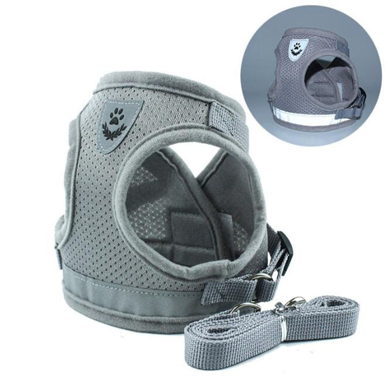 Pack Harness + padded foam leash