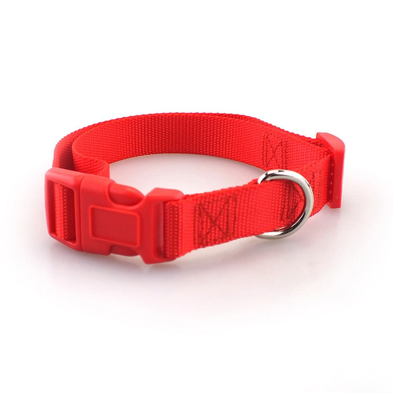 Dog collar - made of nylon, adjustable and robust