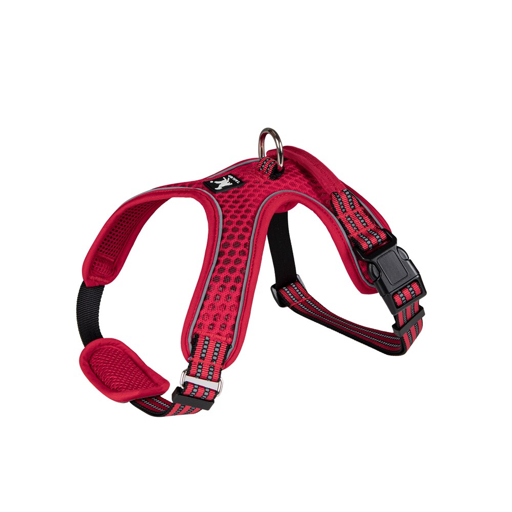Adjustable nylon harness and leash for dogs - for small and large dogs
