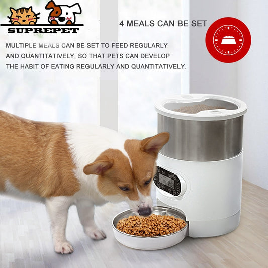 Automatic bowl - double stainless steel bowl