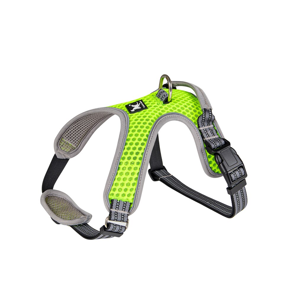 Adjustable nylon harness and leash for dogs - for small and large dogs