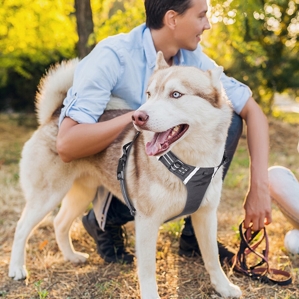 Reflective Nylon K9 Harness - with Adjustable Dog Straps - for Small and Large Dogs