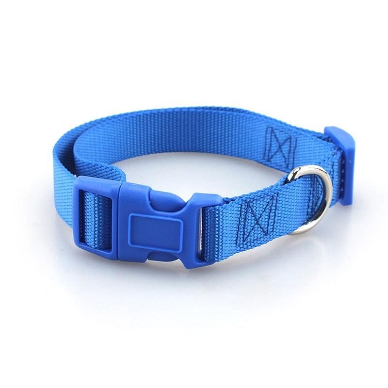 Dog collar - made of nylon, adjustable and robust