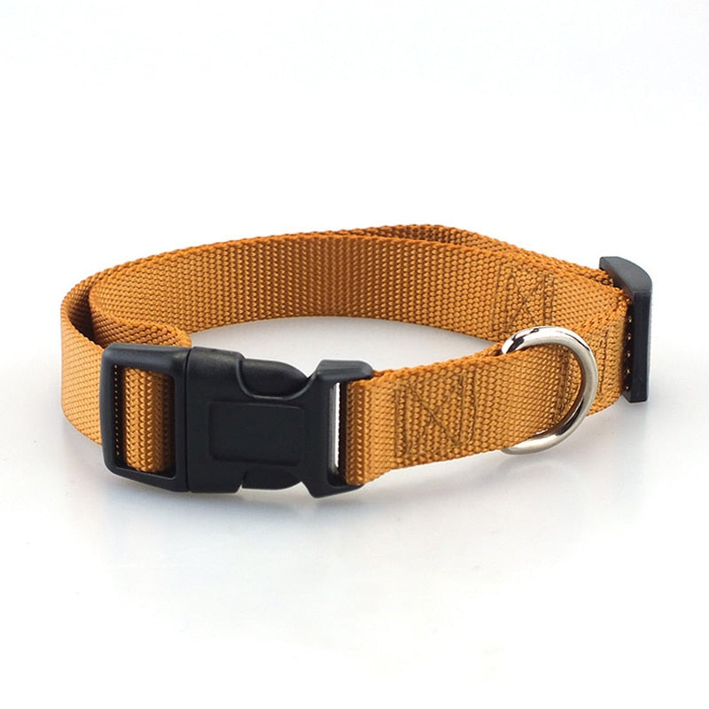 Dog collar - made of nylon, adjustable and robust