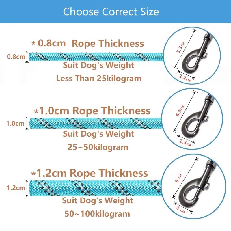 Leash for dog and cat adjustable - 150 / 200 / 300 cm - carabiner