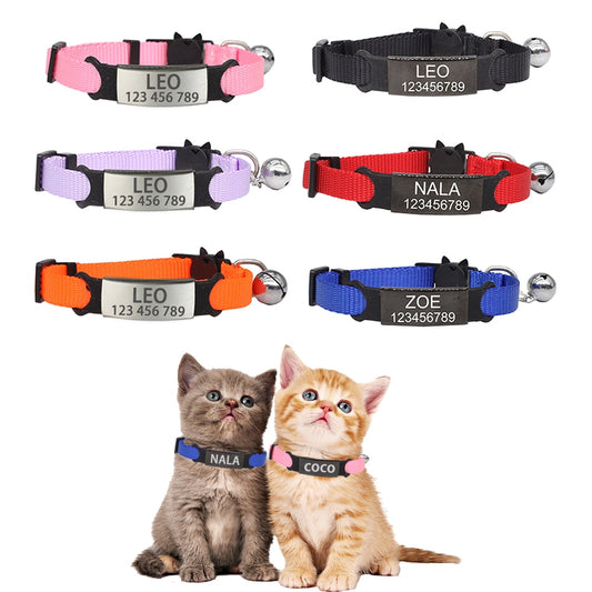 Kitten and cat collar with engraving