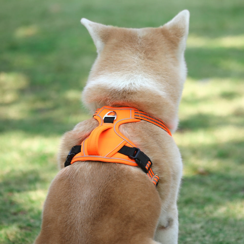 Dog harness - Oxford 1000D, reflective and with handle