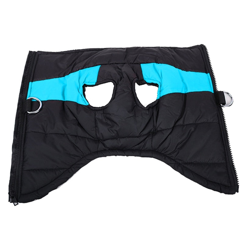 Veste Imperméable pour Chien - Chaud pour l'Hiver