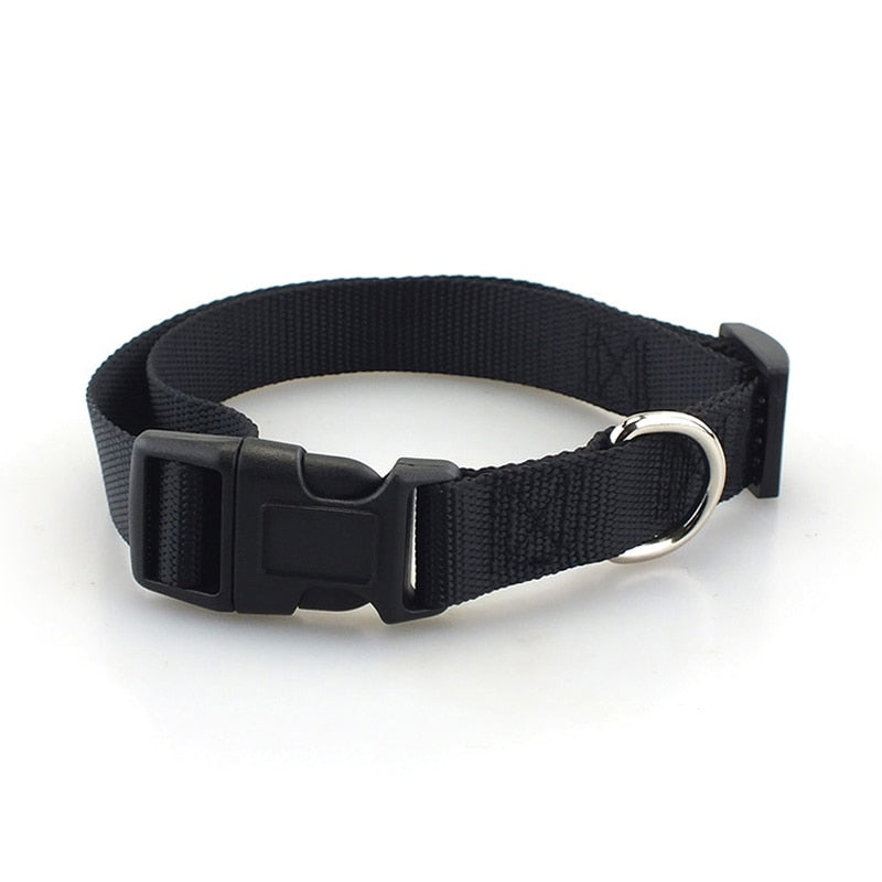 Dog collar - made of nylon, adjustable and robust