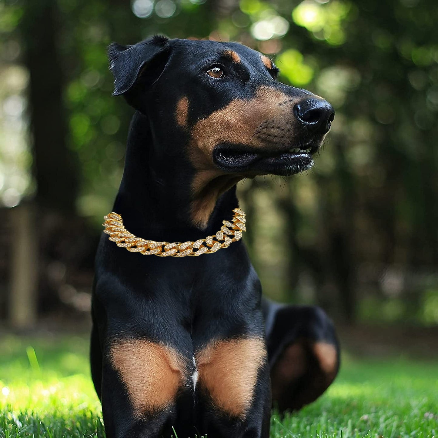 Luxury rhinestone necklace - Custom-made - Seen on Tiktok