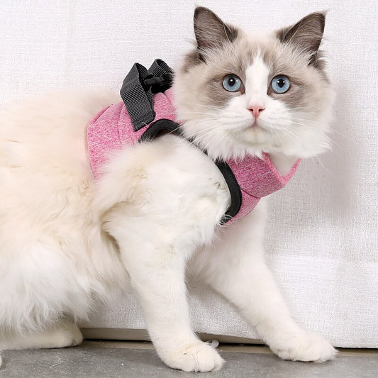 Harness for cat and kitten - S / M / L - Adjustable