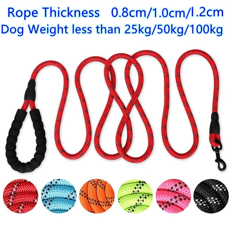 Leash for dog and cat adjustable - 150 / 200 / 300 cm - carabiner