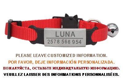 Kitten and cat collar with engraving