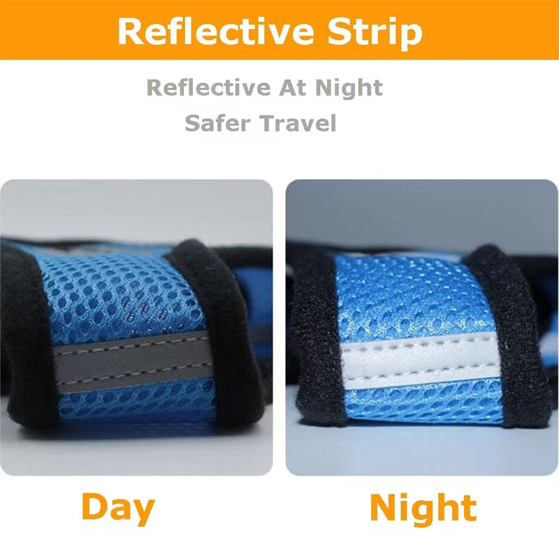 Pack 2 Harnesses for cats and small dogs