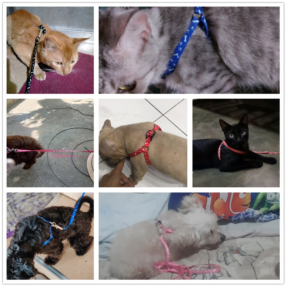 Comfortable and breathable dog and cat safety collar