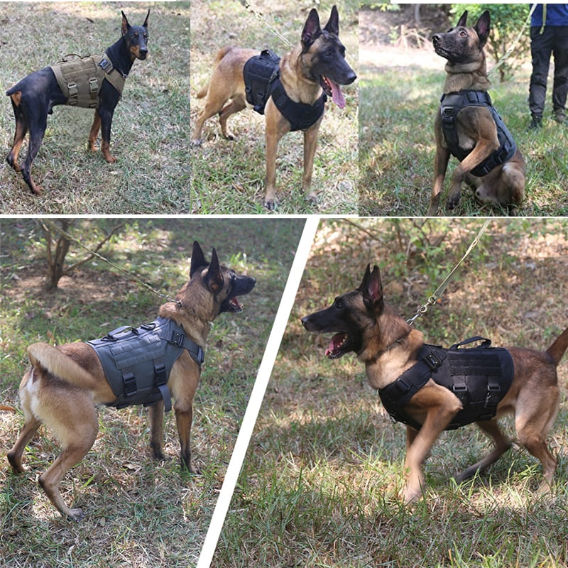 Tactical dog harness - for intensive training and activities