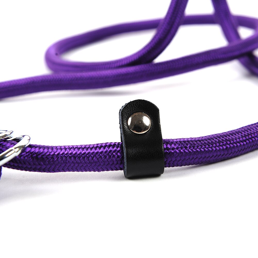 Golden chain leash for dogs - Comfortable and made of nylon